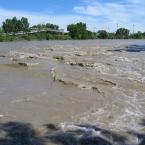 Calgary Flood<br>  
